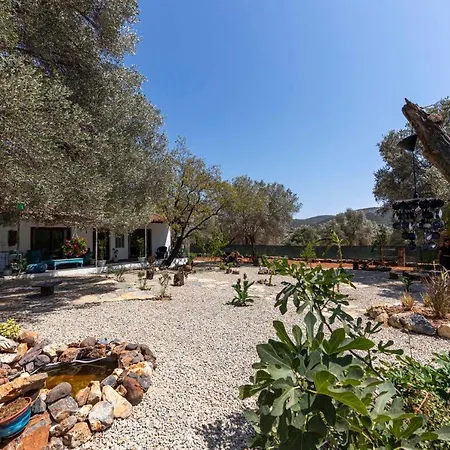 Villa Enchanting House With Impressive Interior Design Surrounded By Nature In Bodrum *